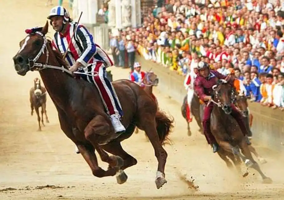 palio di siena