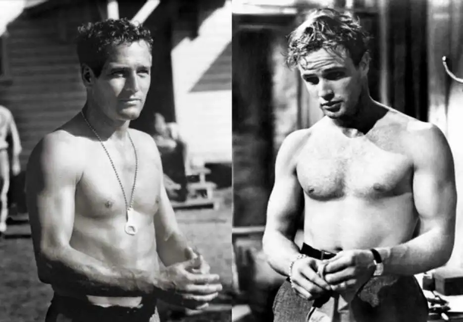 paul newman 