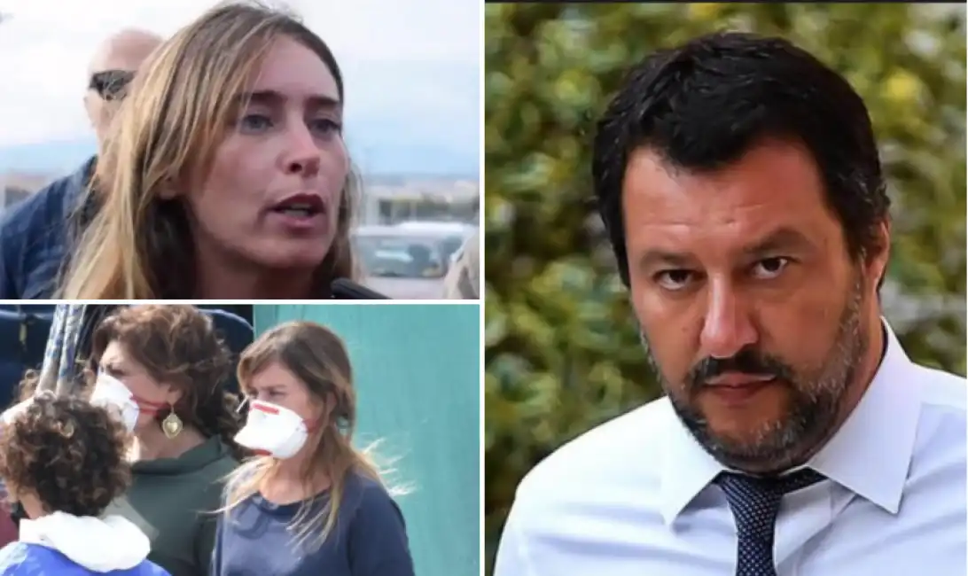 salvini boschi