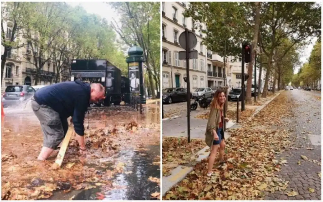 foglie cadute parigi