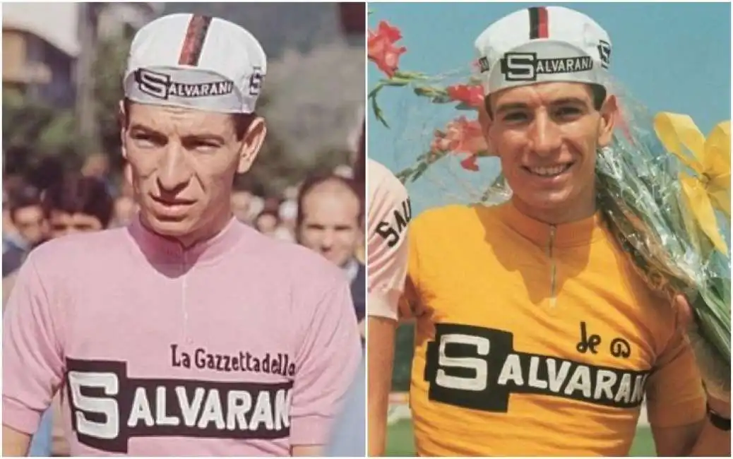 gimondi 8