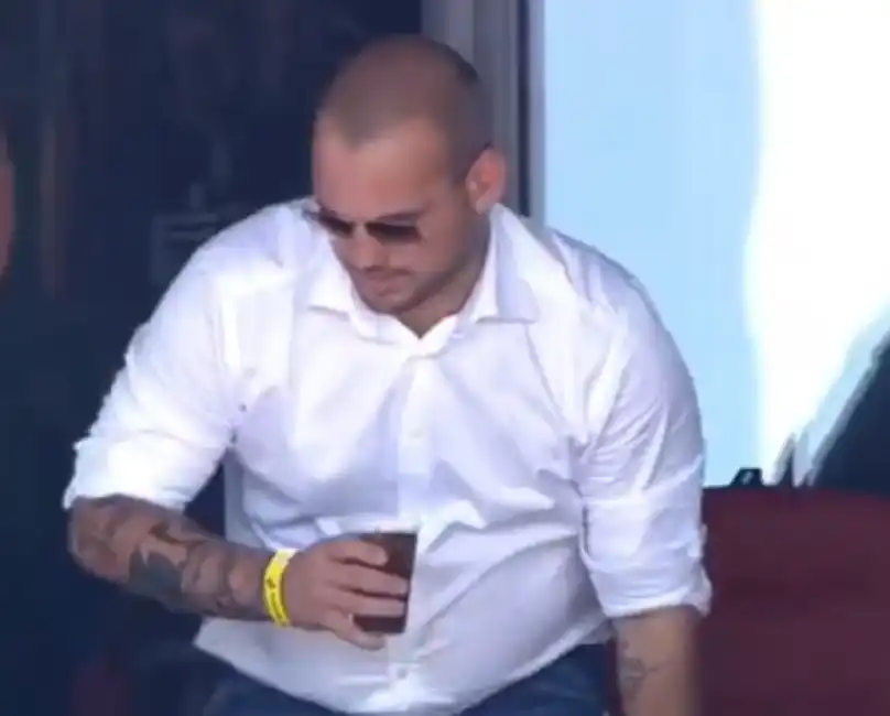 sneijder