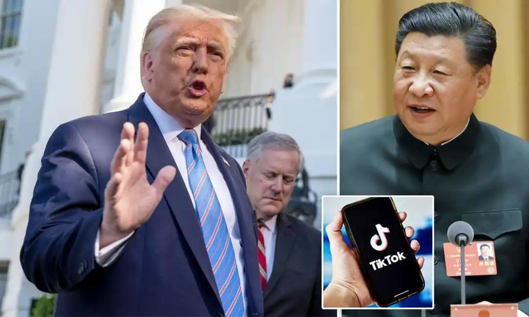 donald trump xi jinping tiktok