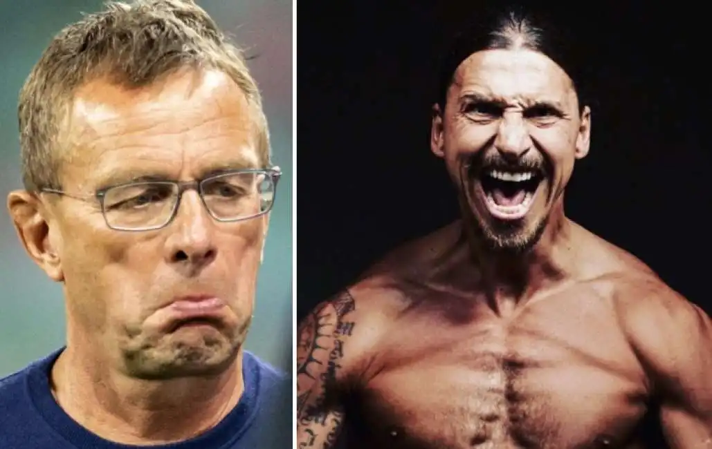 ralf rangnick zlatan ibrahimovic