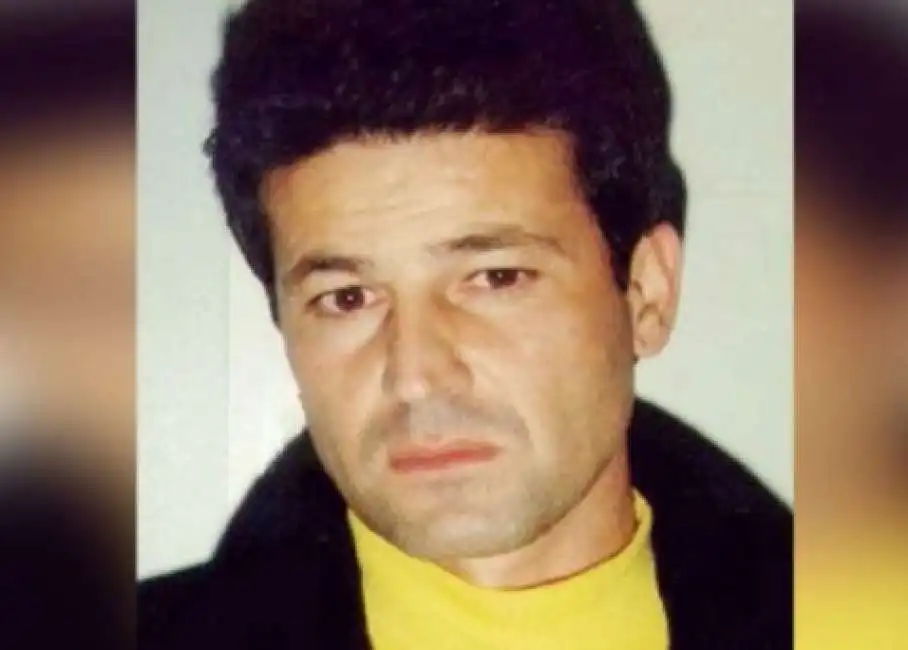 domenico paviglianiti 