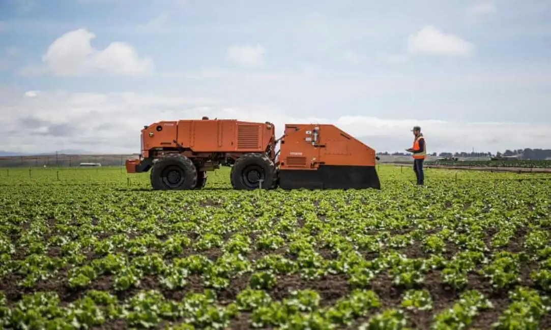 un robot diserbante della farmwise