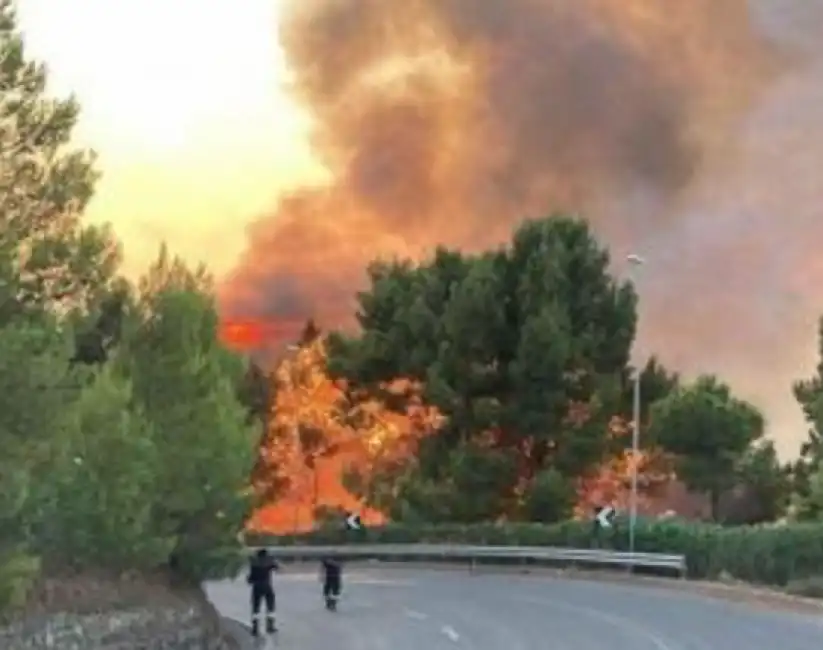 carso incendio