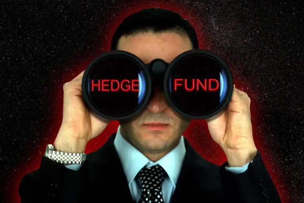 hedge fund 