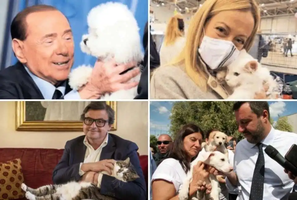 salvini calenda meloni berlusconi cani gatti animali 