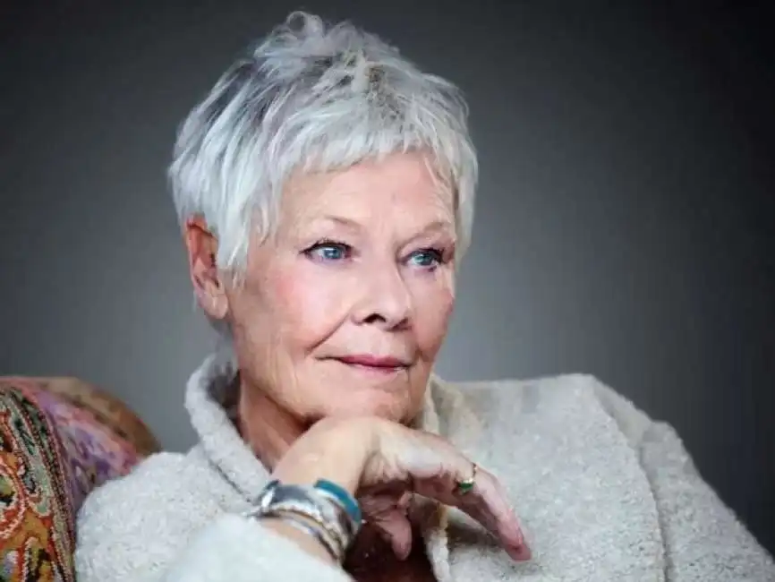 judi dench