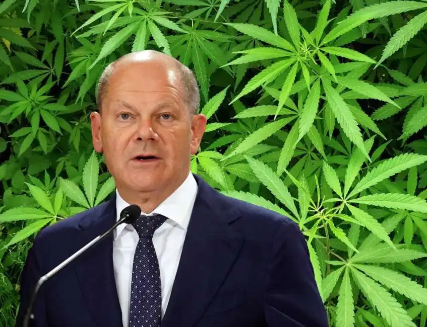 olaf scholz marijuana cannabis legalizzazione