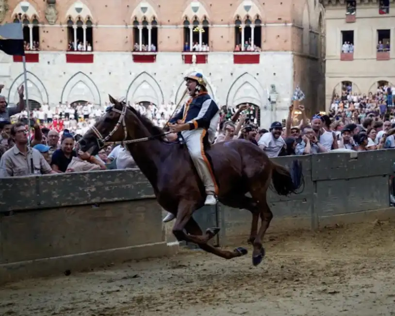 dino pes detto velluto vince il palio di siena con la lupa 