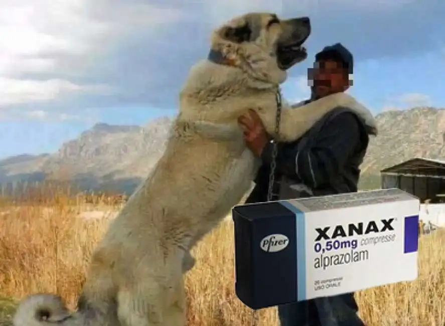 kangal xanax psicofarmaci