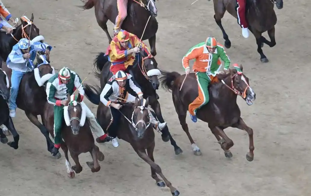 palio di siena 