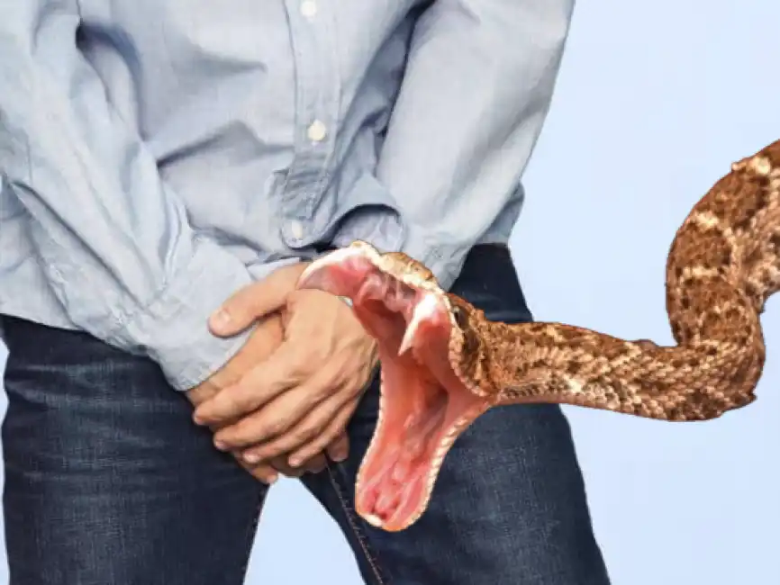 uomo morso alle palle da un serpente