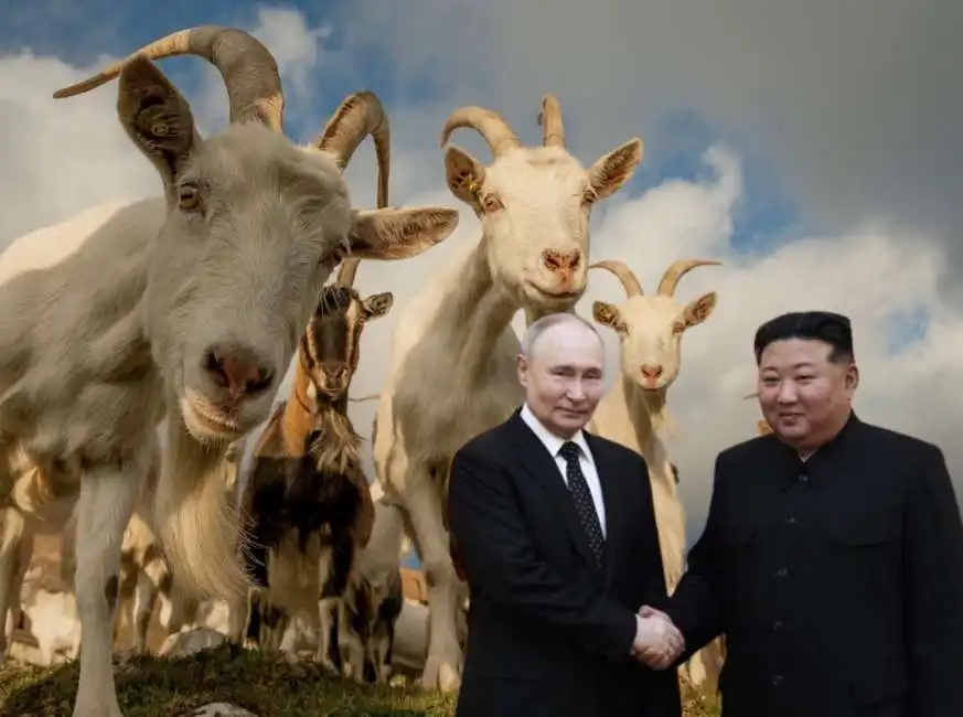 vladimir putin kim jong un capre 