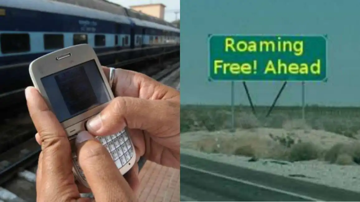 big free roaming