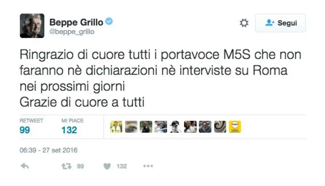 mordacchia grillo