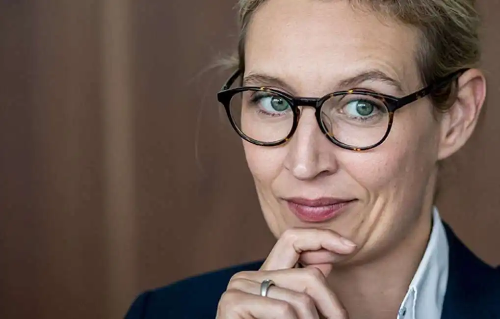 alice weidel 