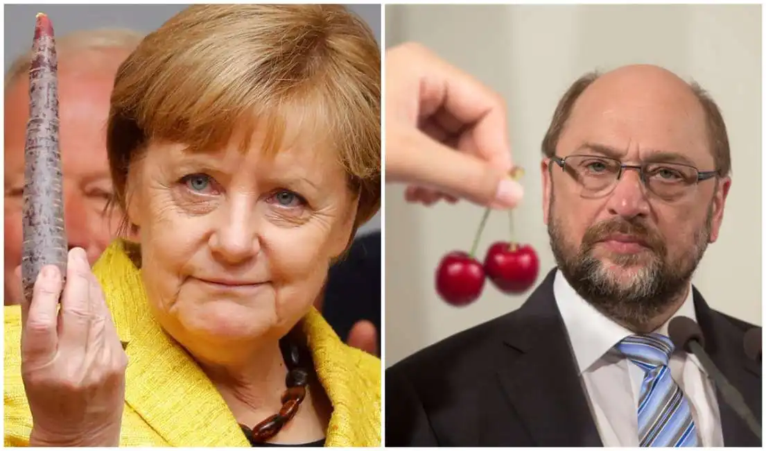 angela merkel martin schulz