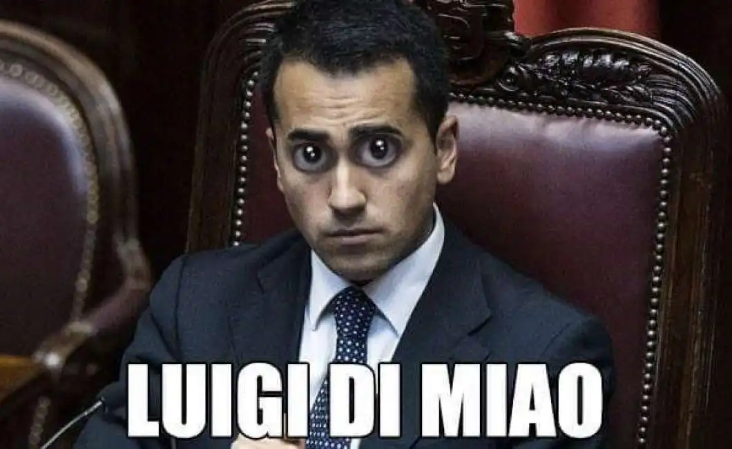 di maio 115f6dfce7e