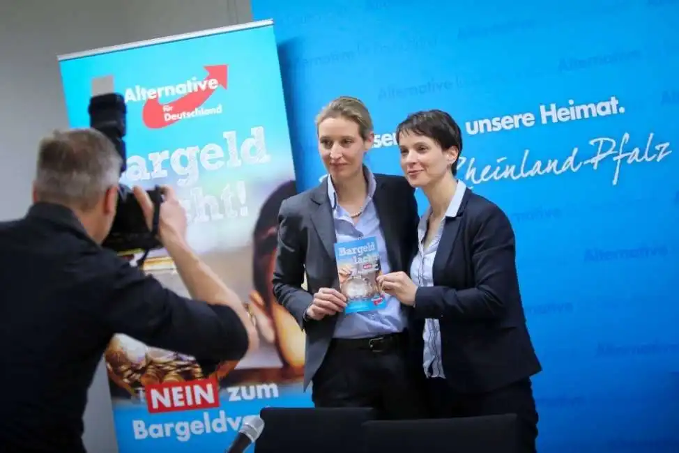 frauke petry alice weidel 