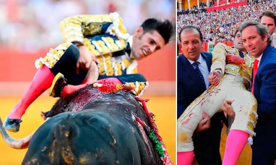 matador corrida