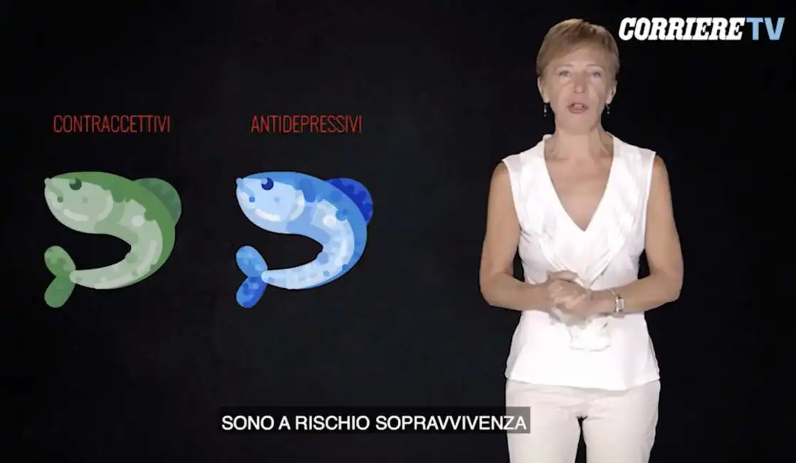 milena gabanelli - farmaci ambiente