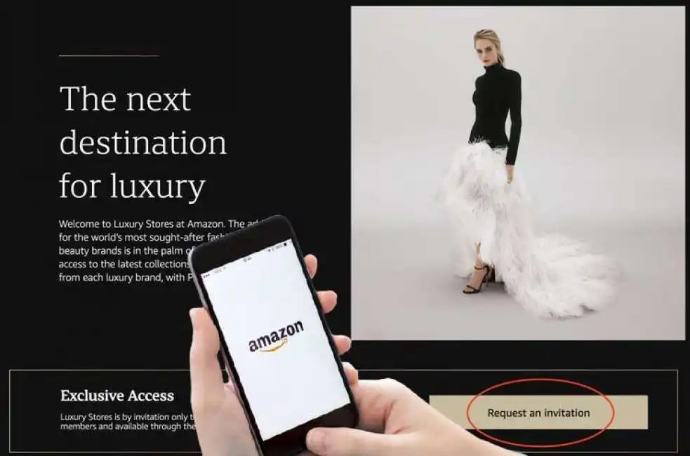 amazon luxury stores