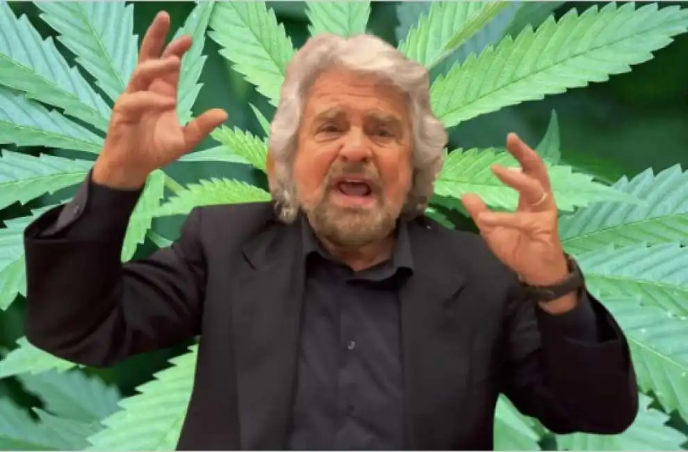 beppe grillo cannabis