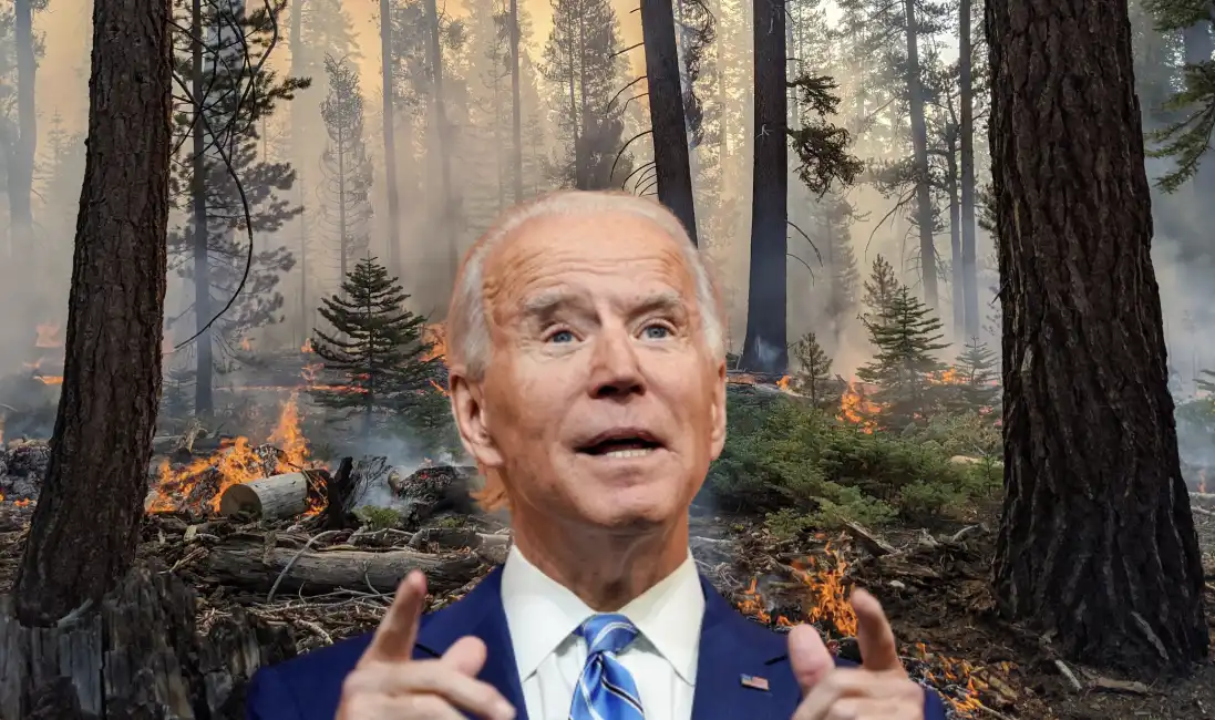 biden cambiamento climatico incendi major economies forum on energy and climate