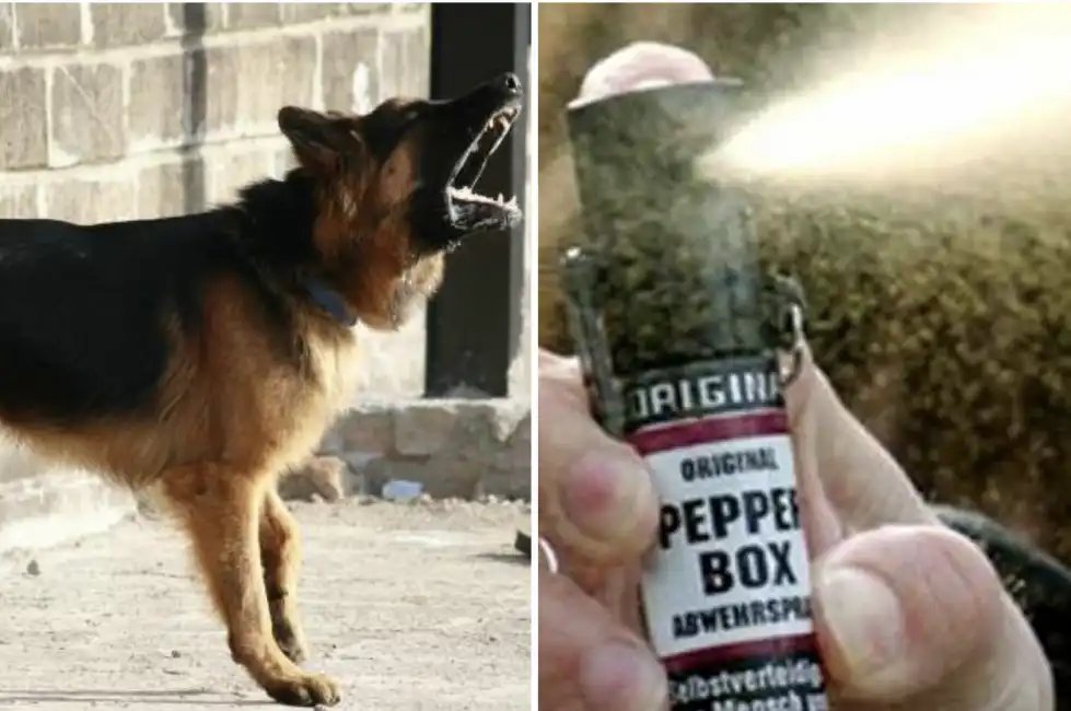 cane abbaia spray al peperoncino