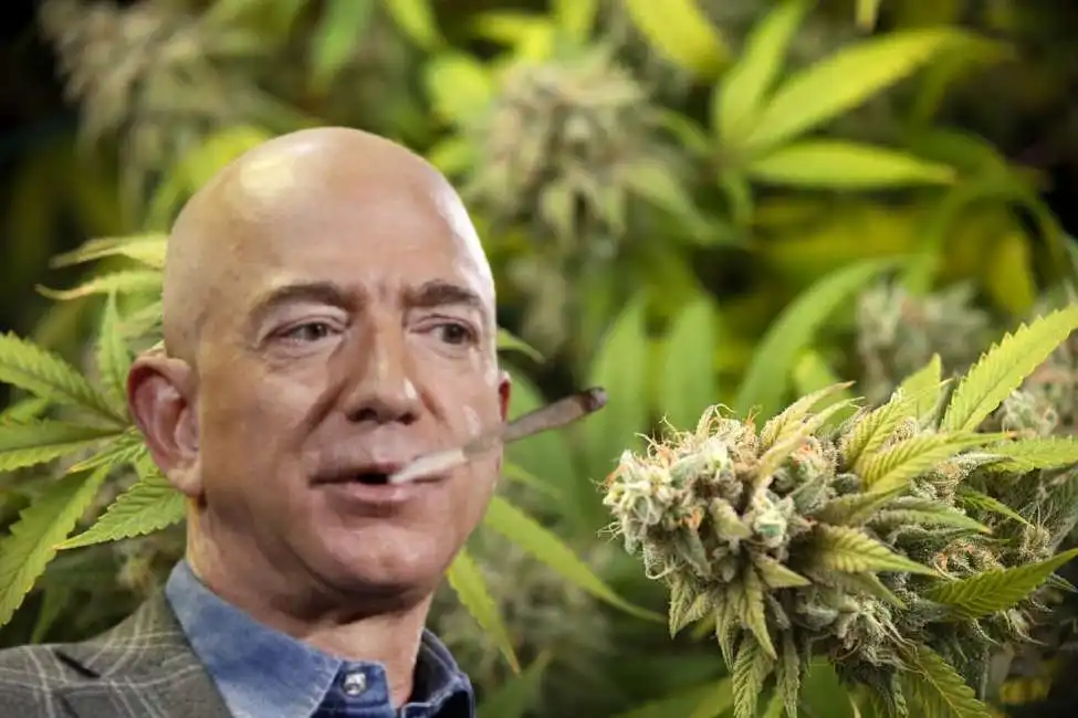 jeff bezos marijuana 