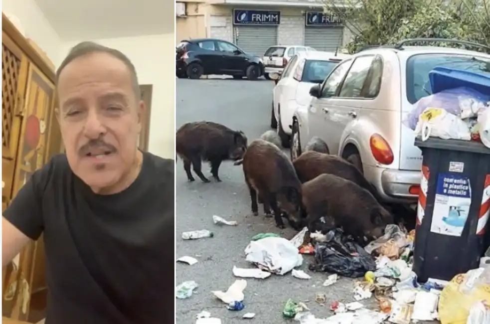 lo sfogo social di massimo lopez contro cinghiali roma