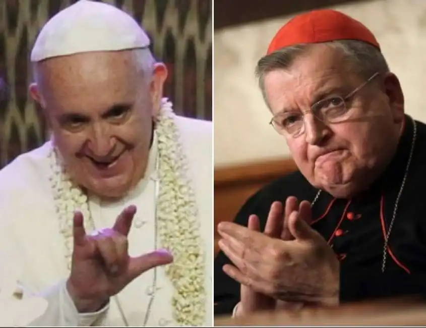 papa bergoglio burke