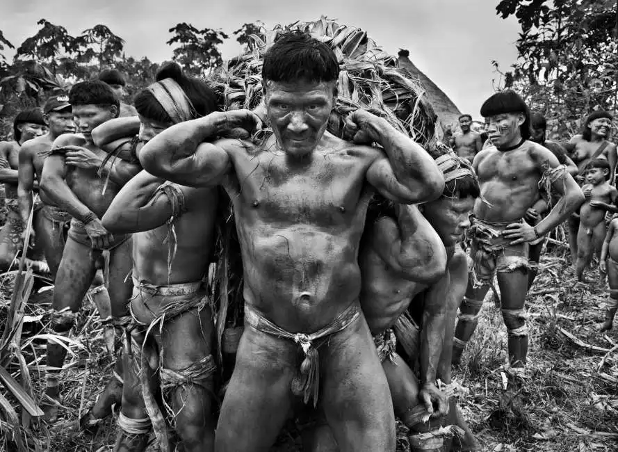 salgado amazonia