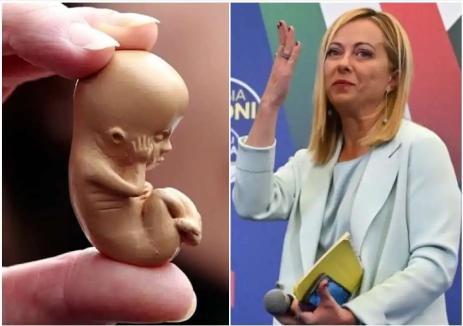 giorgia meloni aborto