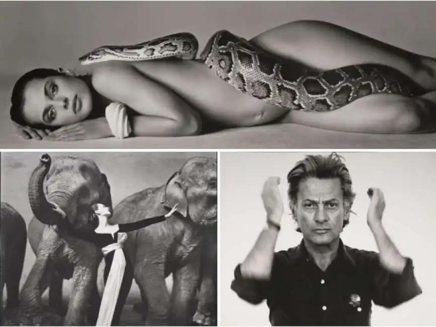 richard avedon