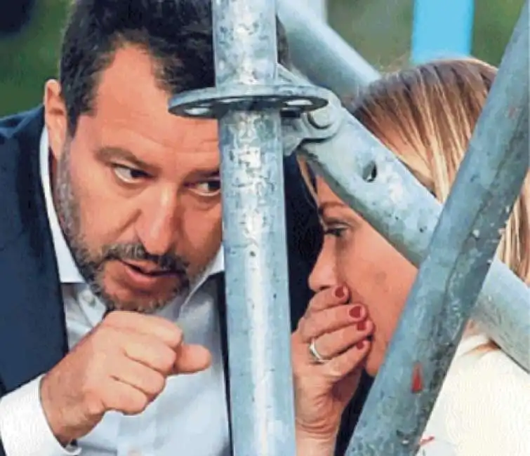 salvini meloni