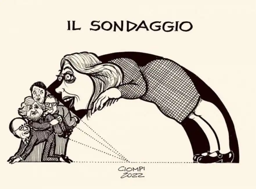 sondaggio - vignetta di ciompi meloni letta conte grillo 