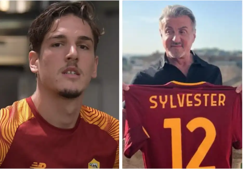 zaniolo stallone