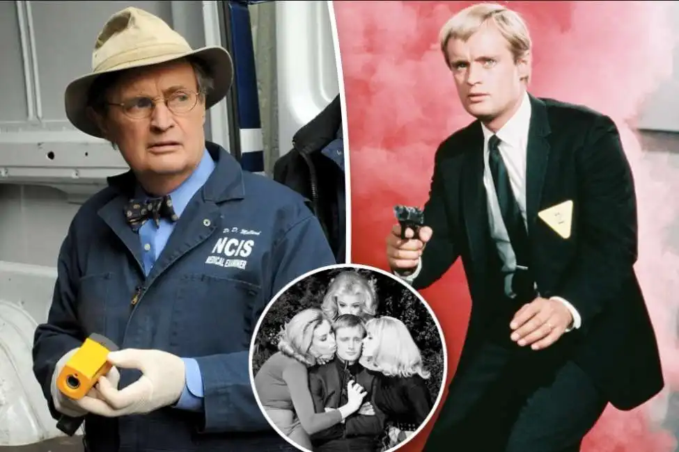 david mccallum