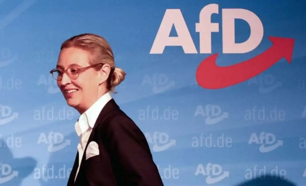 alice weidel afd