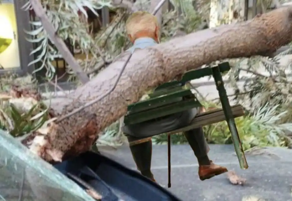 manfredonia anziano schiacciato ramo albero