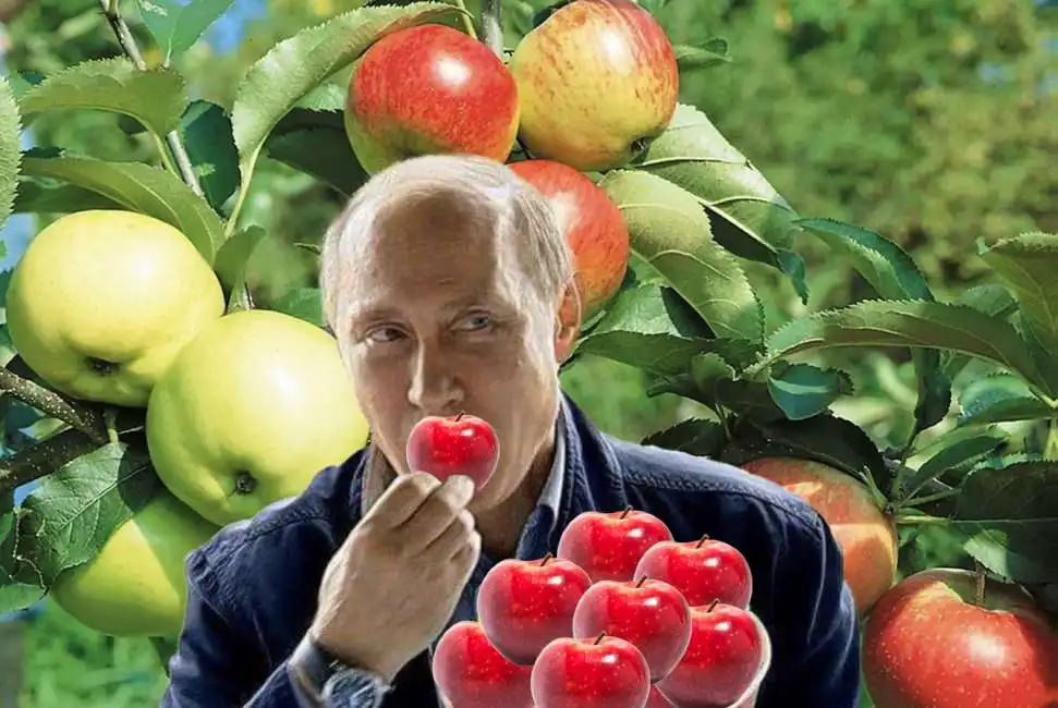 vladimir putin mele