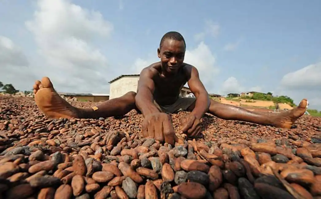 bambini schiavi cacao