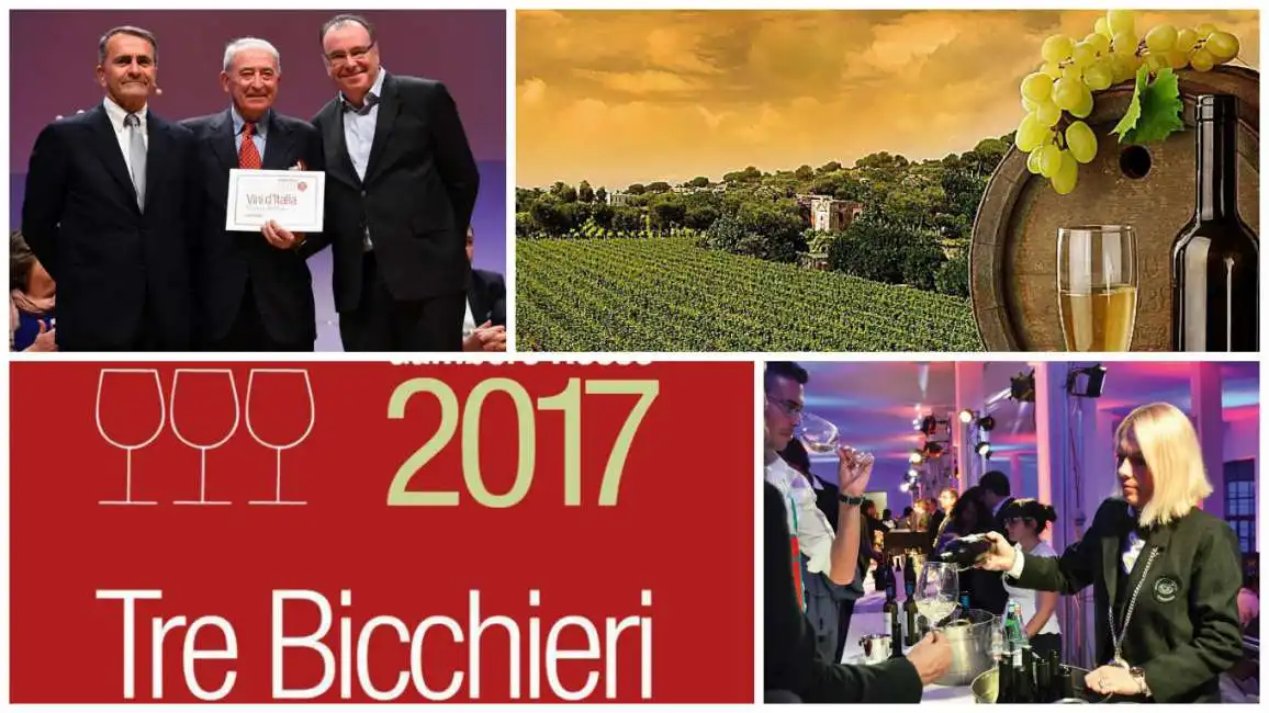 vini d’italia 2017 del gambero rosso 