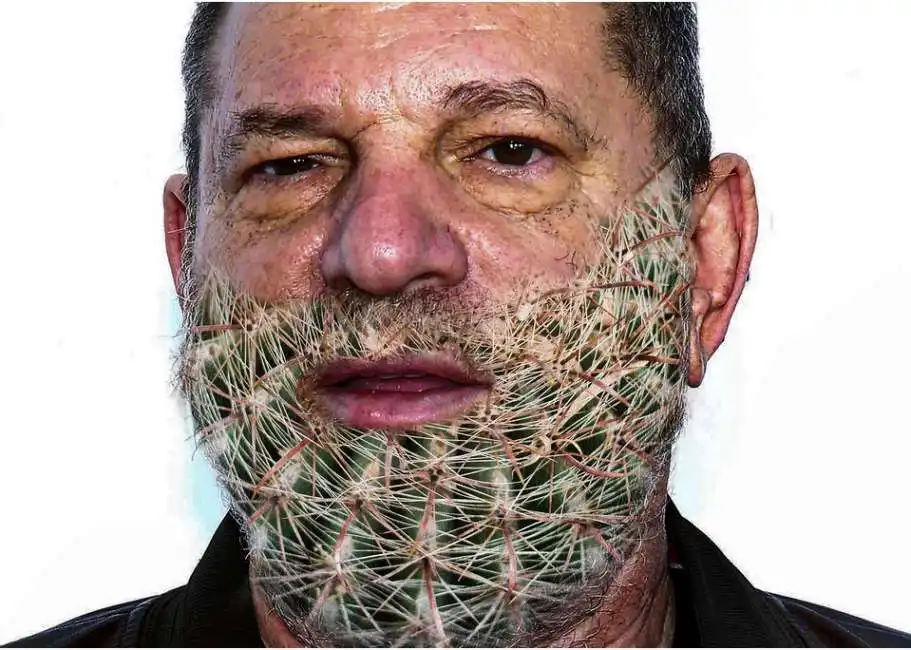 harvey weinstein