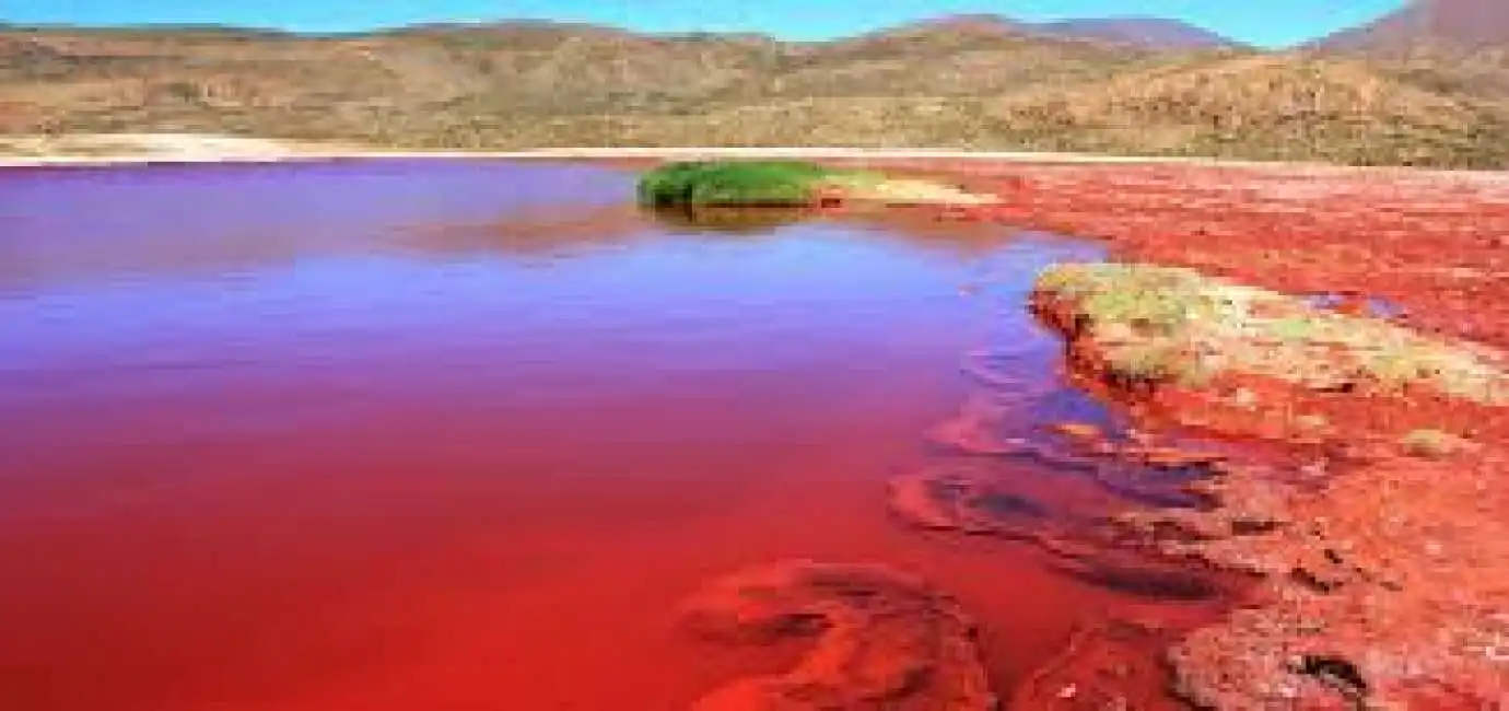 laguna roja cile