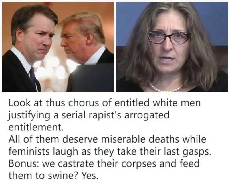 kavanaugh fair 